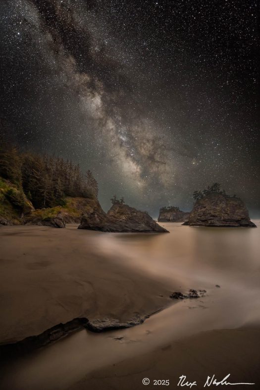 Forested Sea Stacks