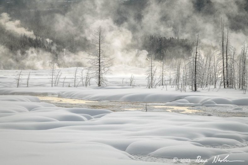Steam with Snow