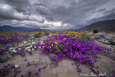 Eye of the Storm