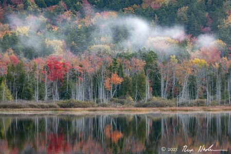 Smoke Signal