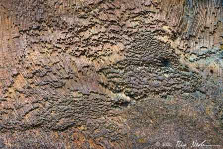 Columnar II
