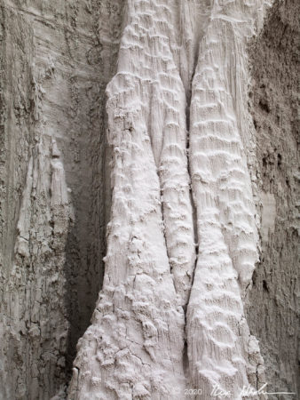 Flow Field