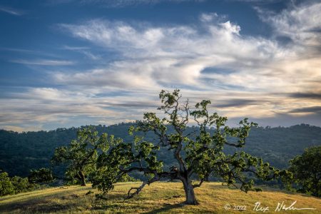 Cloud Patterns with Oak