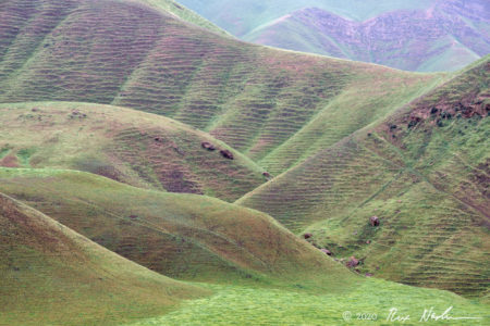 Landforms in Rain