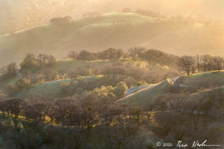 Mt. Hamilton