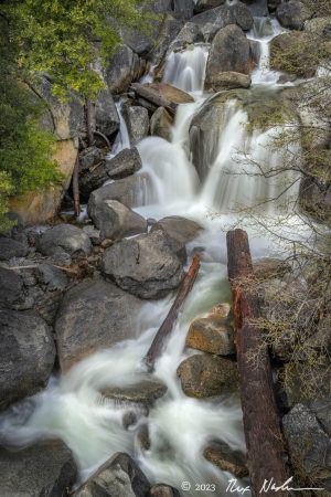 Cascade with Fallen Logs
