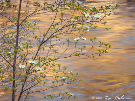 Luminance