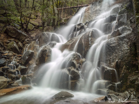 Falls with Log