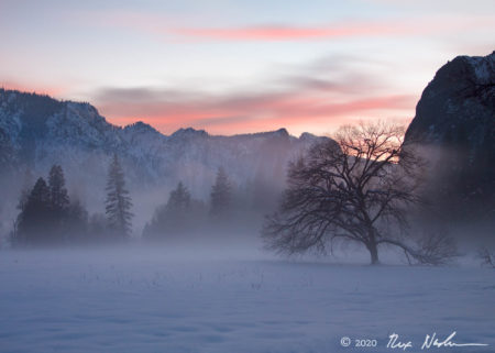 Alpenglow, Yosemite Valley
