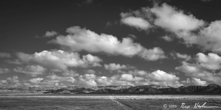 Road Less Traveled