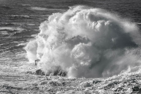 Force Majeure