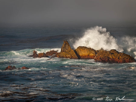 Storm