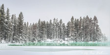 Open Water