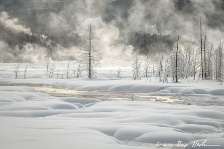 Steam with Snow
