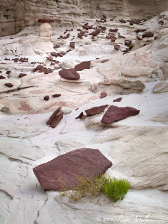 White I