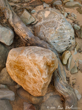 Root with Striated Rocks