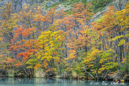 Austral Autumn