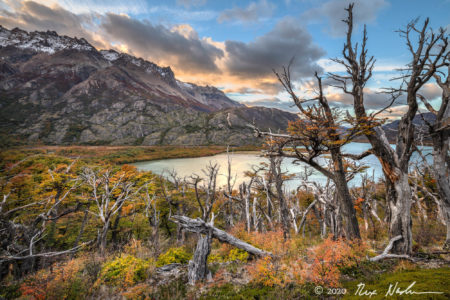 Lago Condor with Lenga Forest