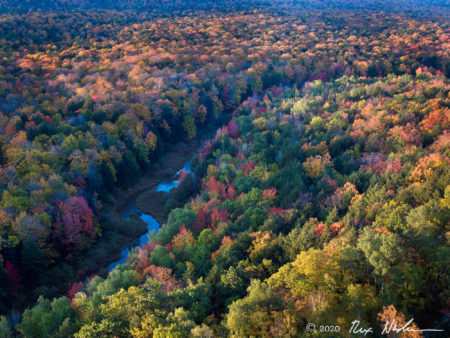 Porcupine Wilderness