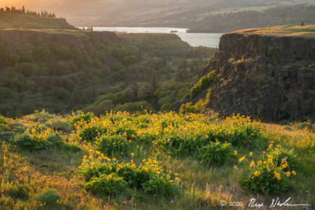 Bluff