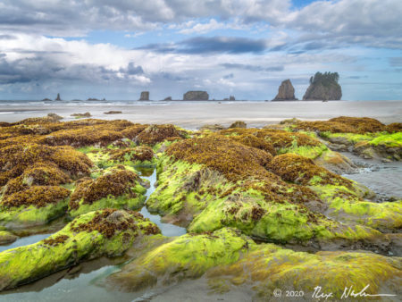 Emerald Isle