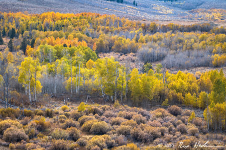 Western Valley