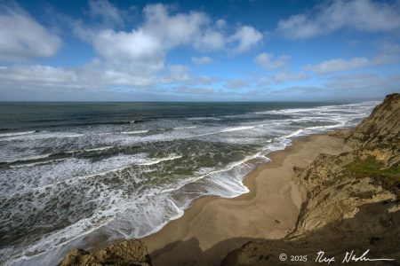 The Infinite Coast