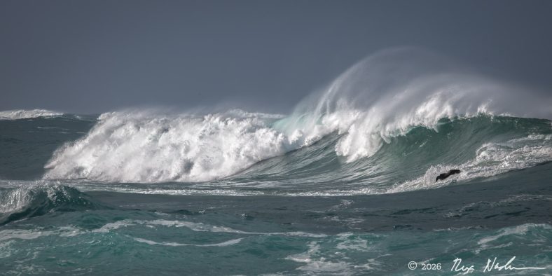 Breaking Swell
