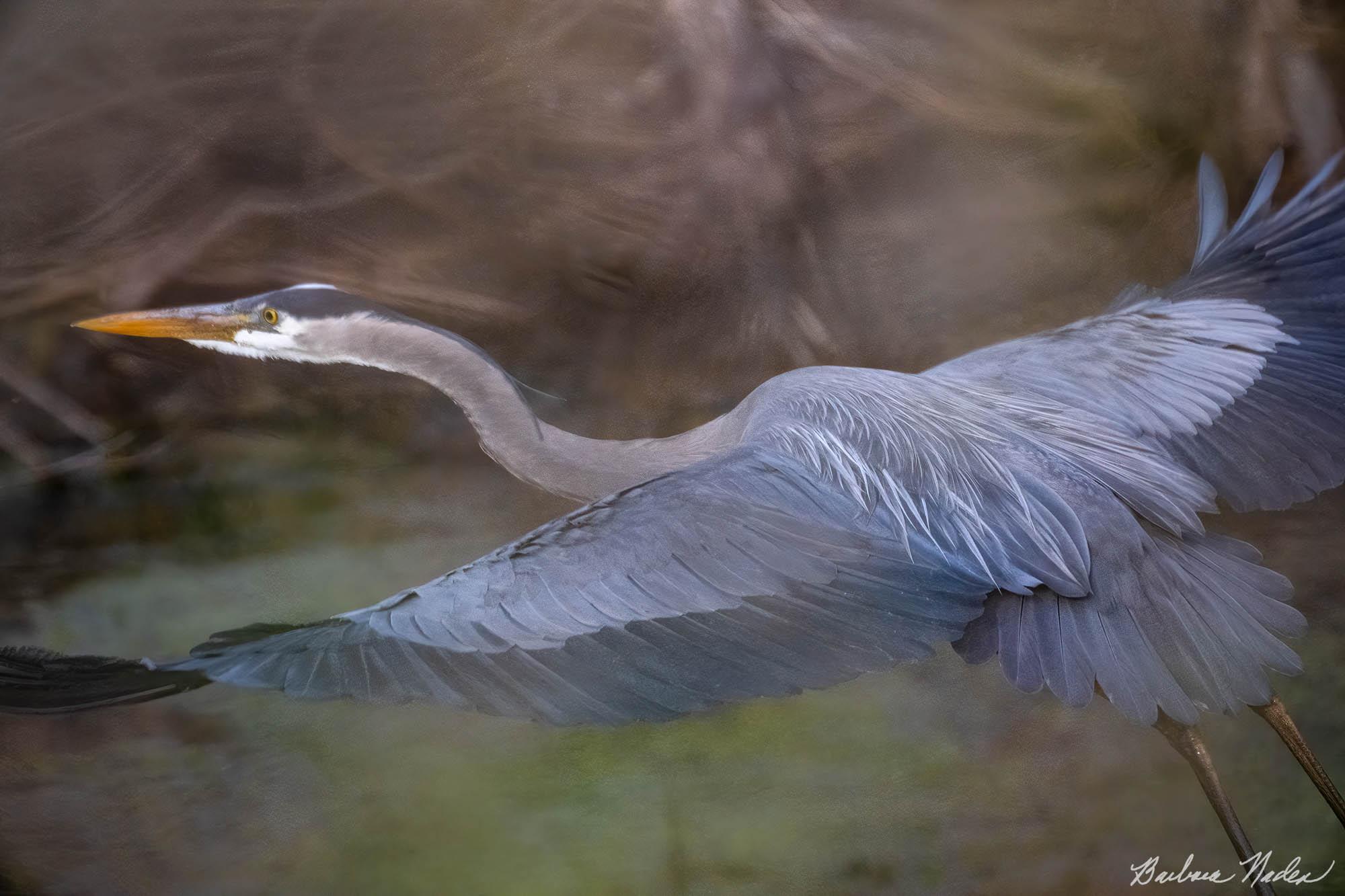 Dreamy Takeoff - Sheldon Marsh, Ohio