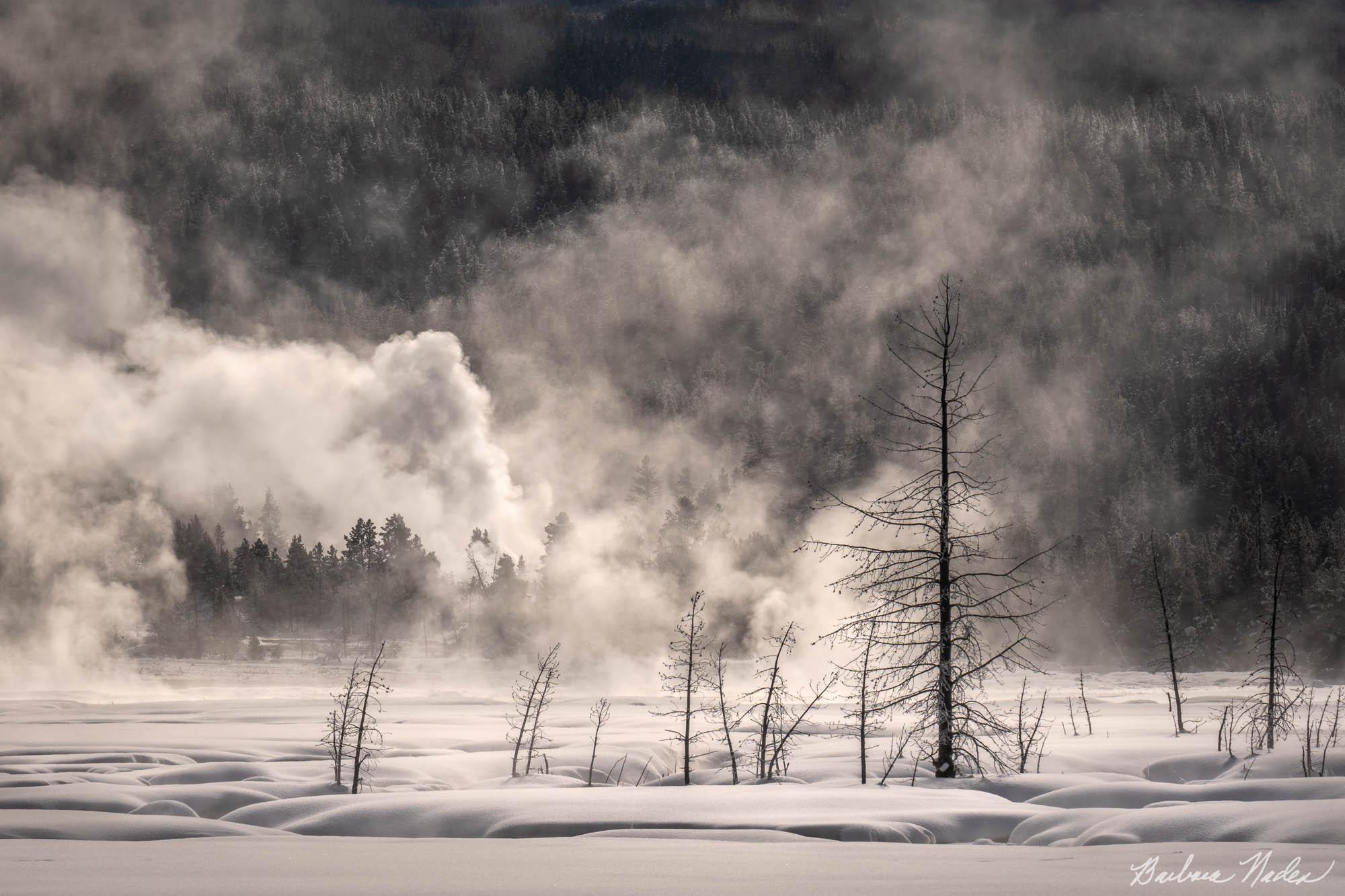 Geysers and Snow - Yellowstone National Park, Wyoming