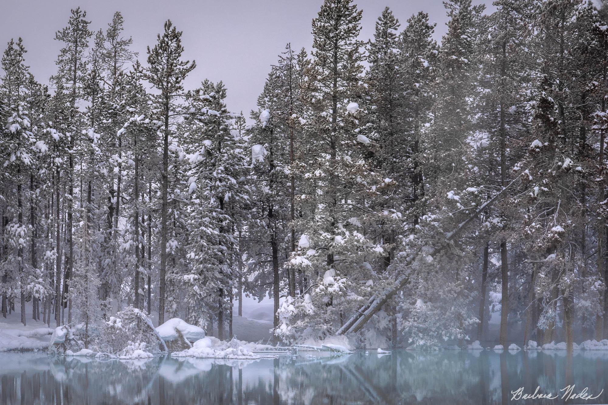 Blue Mist - Yellowstone National Park, Wyoming