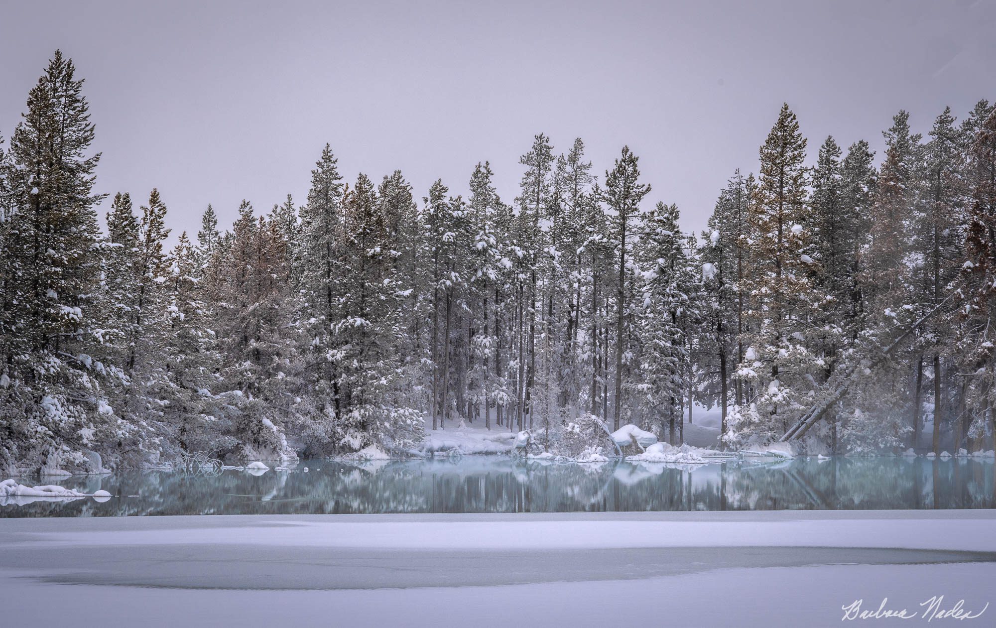 Blue Reflections - Yellowstone National Park, Wyoming