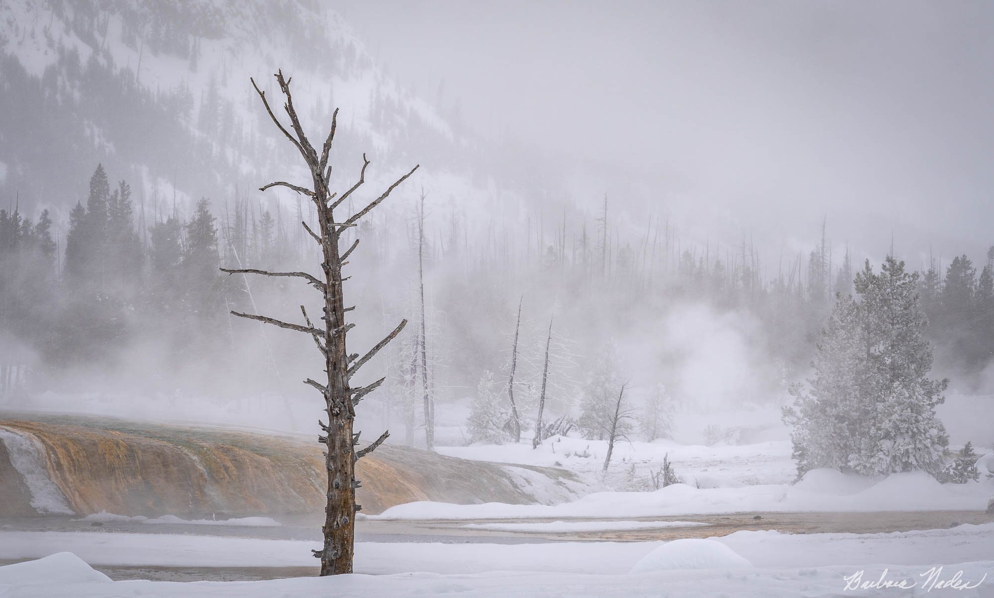 Alone Near a Geyser - Yellowstone National Park, Wyoming