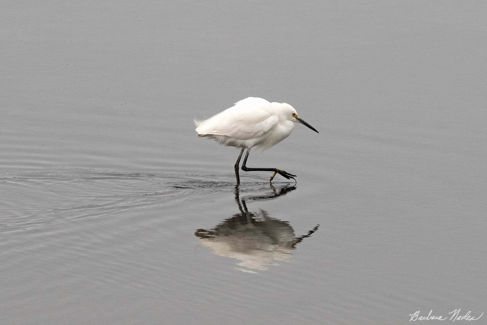 Fishing - Moss Landing, California