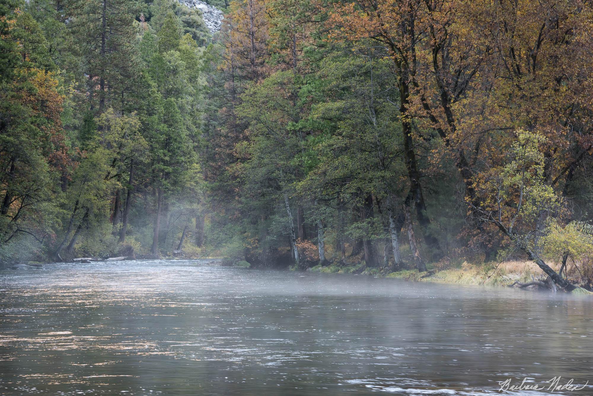 Merced River in Fall - Yosemite Valley National Park