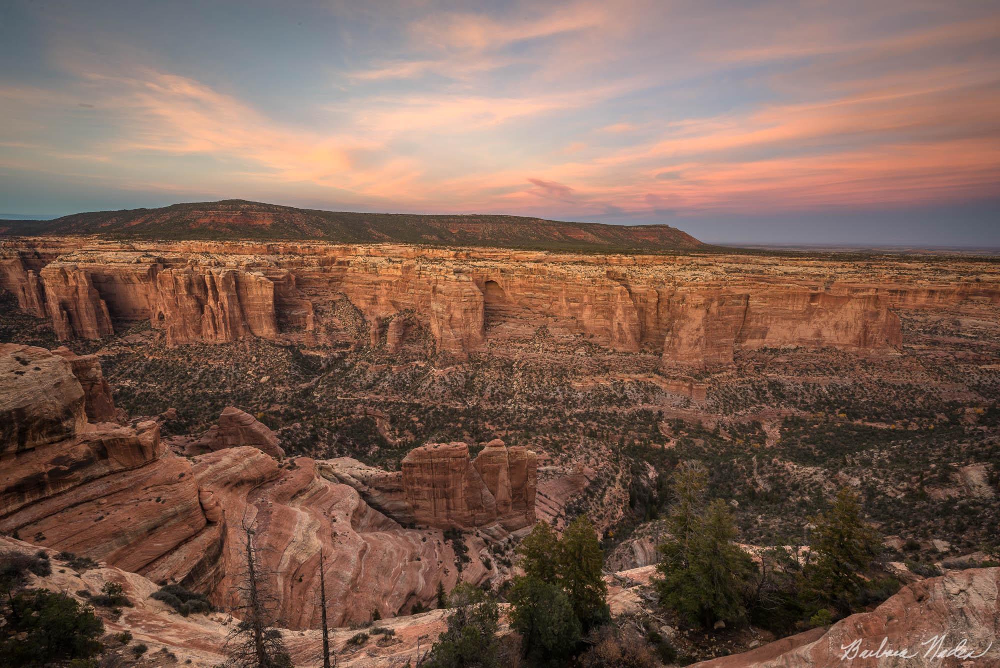 Arch Canyon Overlook - Utah