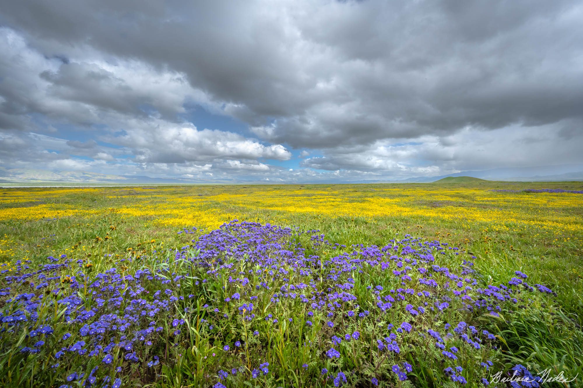 Clearing Storm - Carrizo Plains National Monument