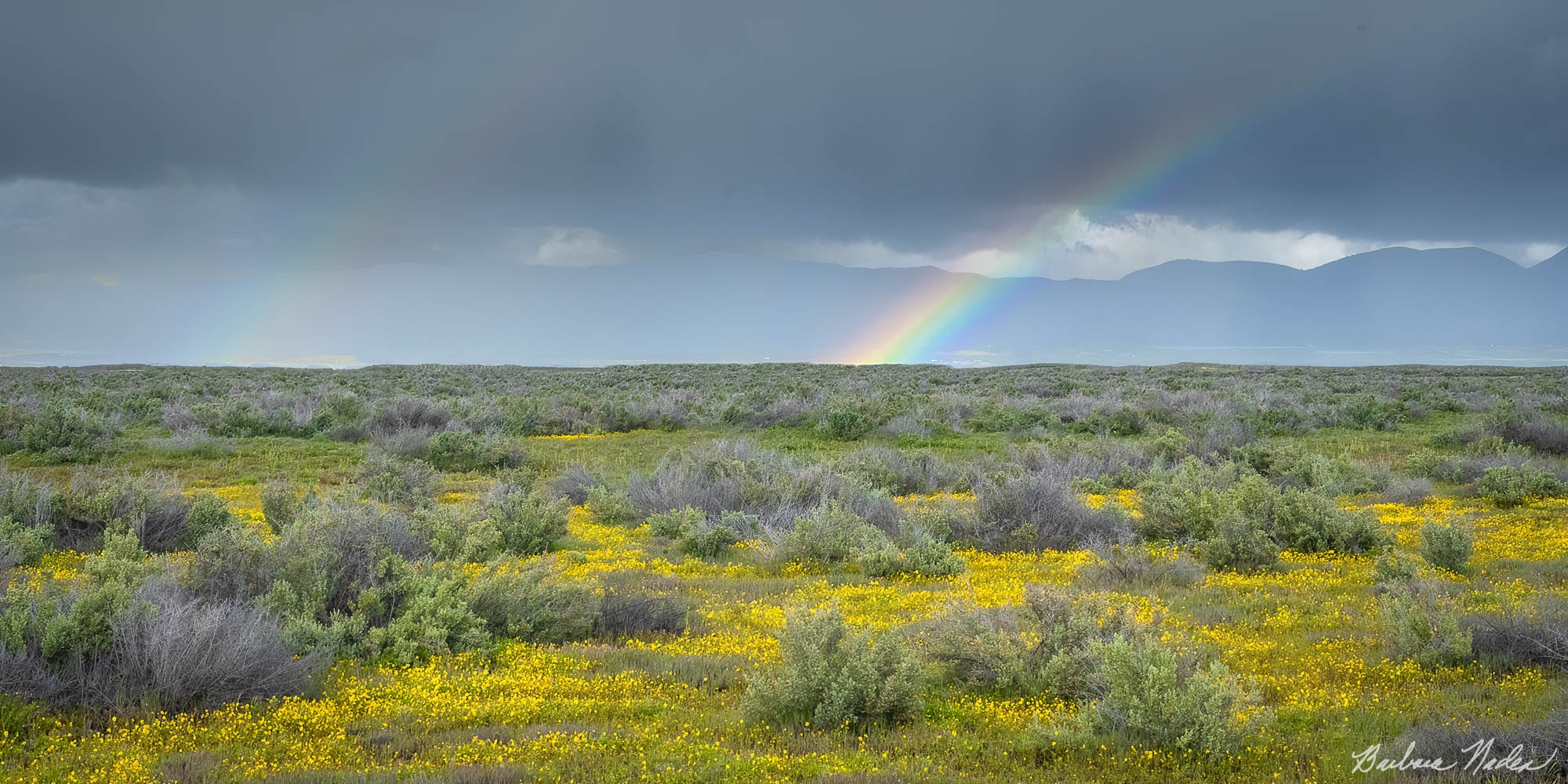 Double Rainbow at Carrizo Plains - Carrizo Plains National Monument