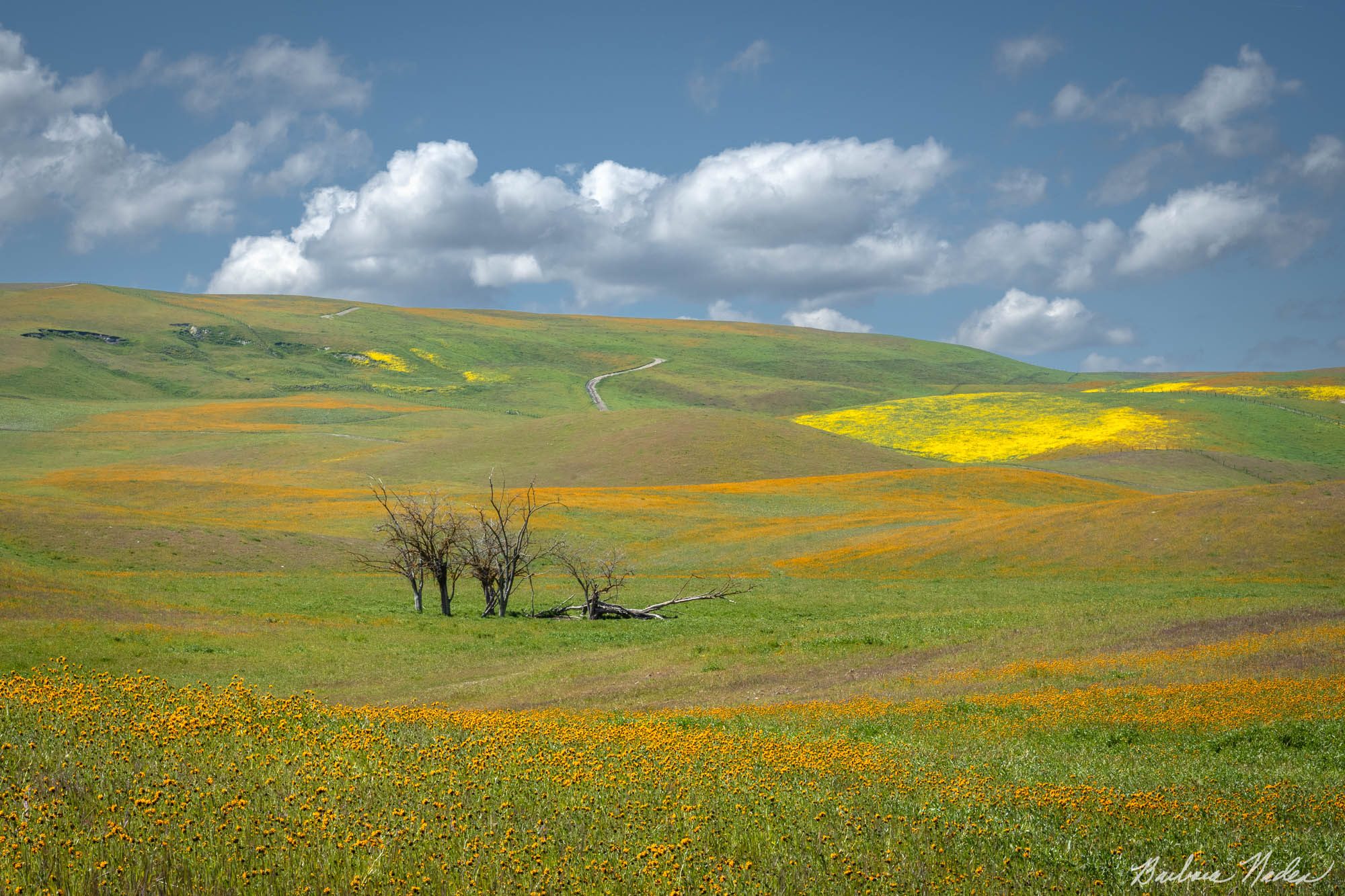 Clouds and Color - Bitterwater Road near Carrizo Plains National Monument, California