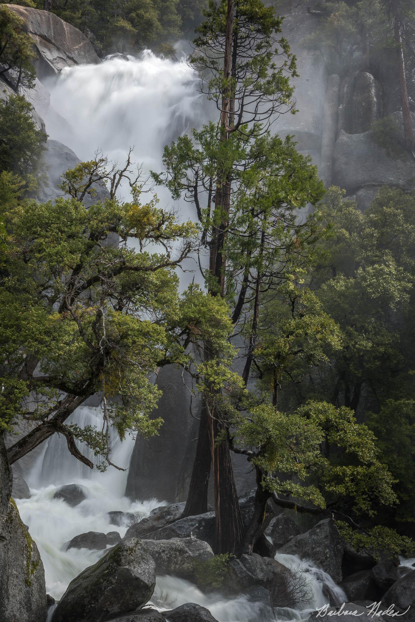 Surviving in a Waterfall - Cascade Falls, Yosemite National Park