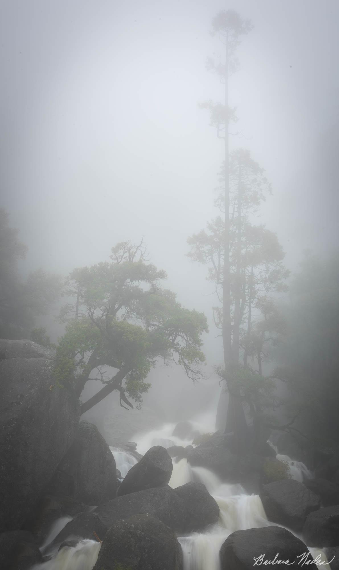 Waterfall in the Mist - Yosemite Valley National Park