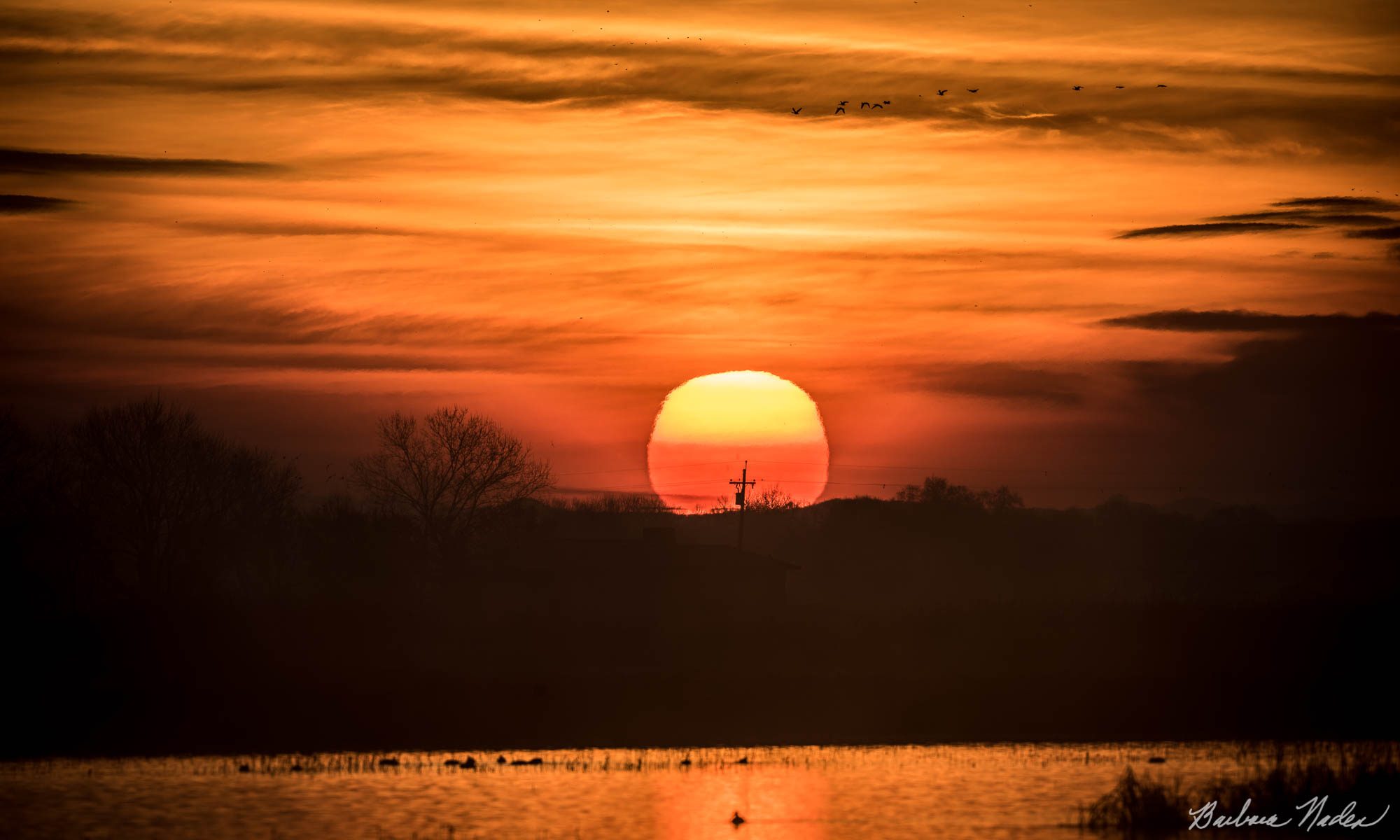 Sunrise waiting for the Sandhill Cranes - Delta Region Central California