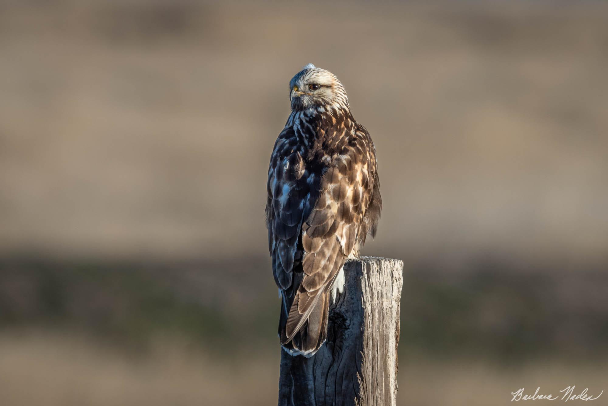 What's Back There? - Klamath Falls Area