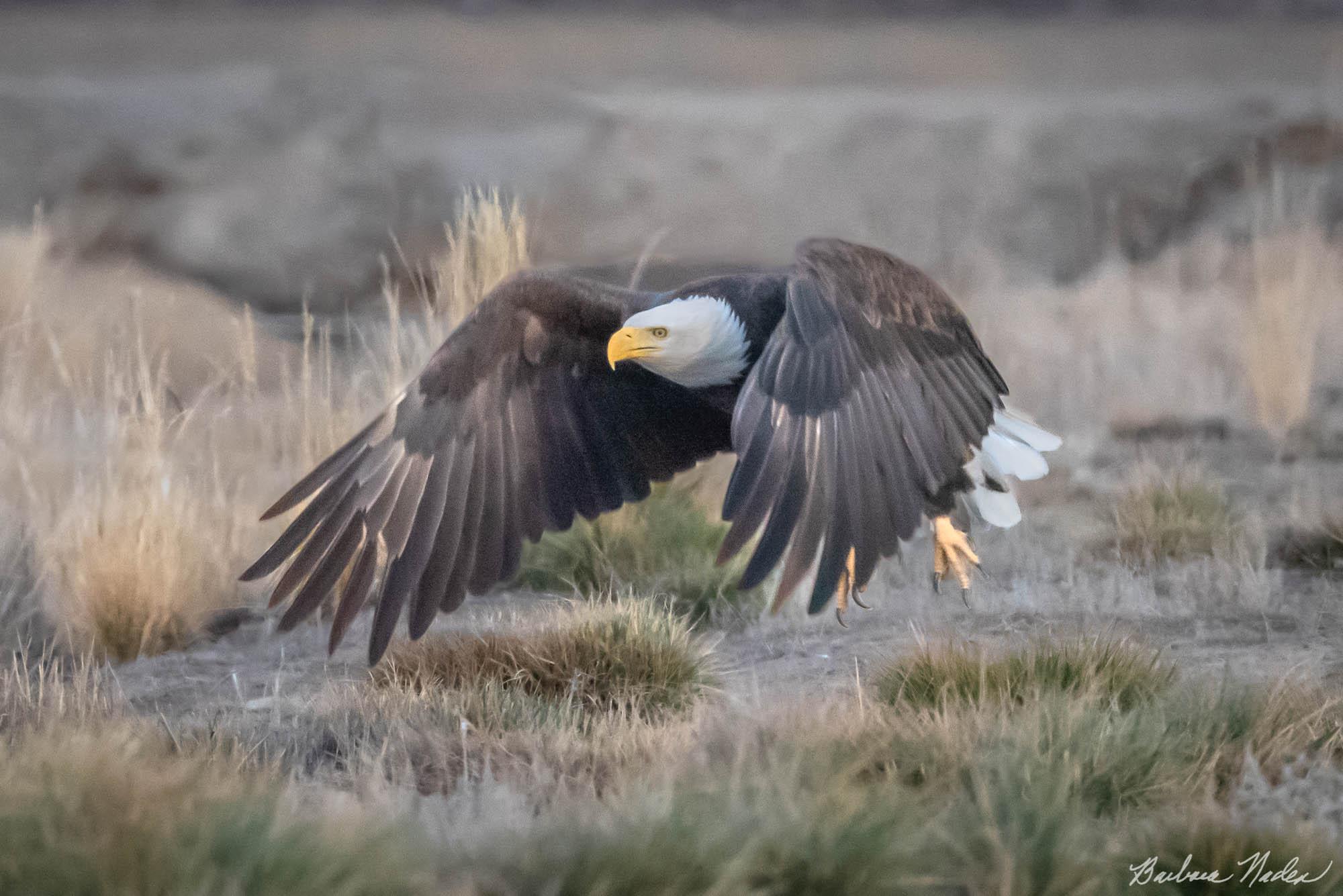 Just a Little More Lift - Klamath Falls Area