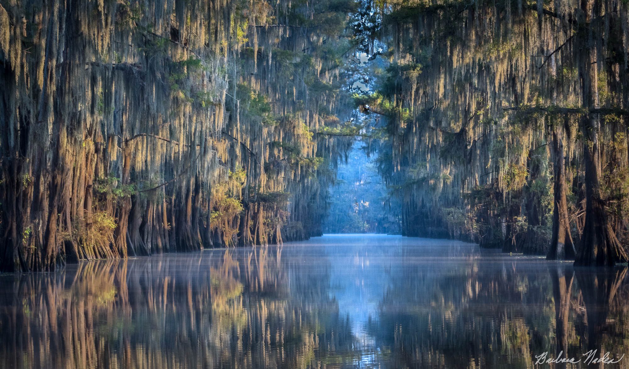 Government Ditch - Caddo Lake, Texas