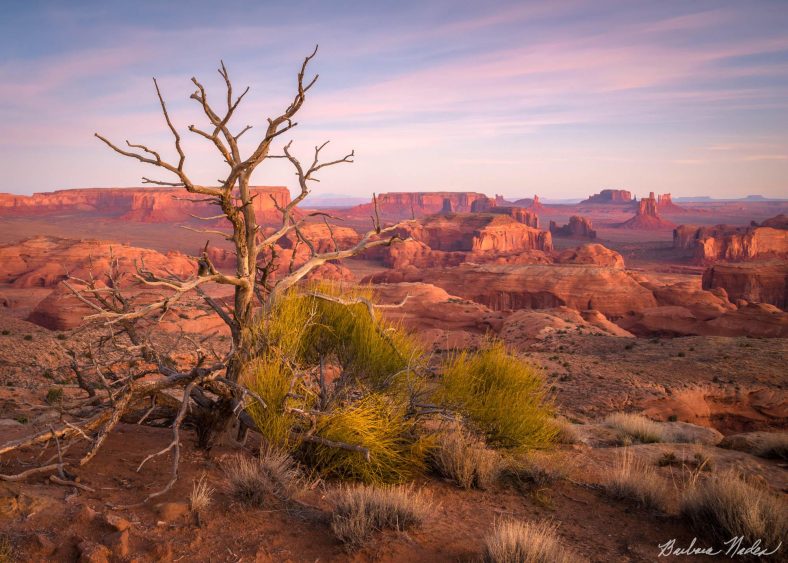 Sunrise on Hunt's Mesa