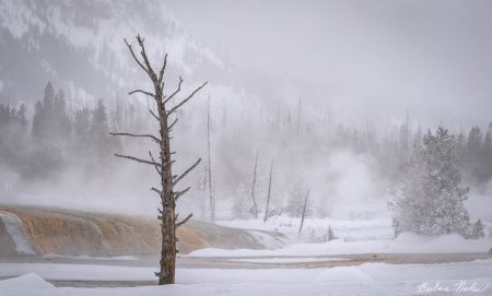 Alone Near a Geyser