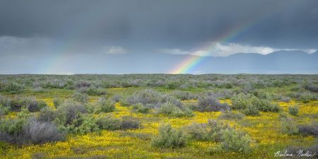 Double Rainbow at Carrizo Plains