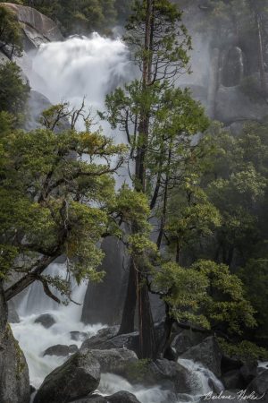 Surviving in a Waterfall