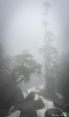 Waterfall in the Mist